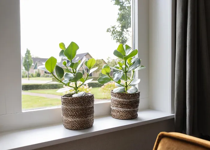 De Pastorie Bed & Breakfast 3*